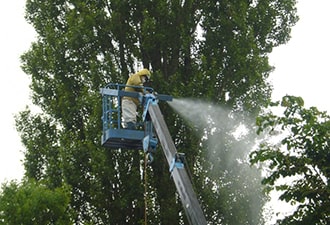 害虫駆除薬剤散布